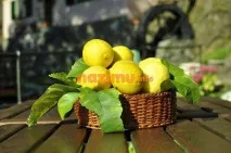 Лимонне варення – фото рецепт приготування з цедрою лимонне