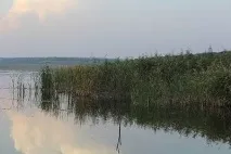 Лов щуки на живця з берега щуки