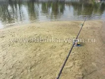 Лов щуки на живця з берега живця