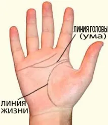 Лінія розуму лінія