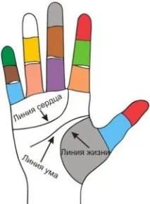 Лінія розуму лінія