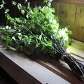 Лукашин - пошук слів за маскою та визначенням, відповіді на сканворди слів
