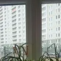 вікні
