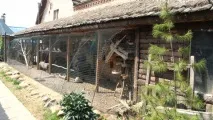 Найкращі зоопарки та звіринці Підмосков’я 10 місць куди з’їздити з дитиною у Підмосков’ї підмосков