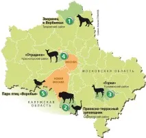 Найкращі зоопарки та звіринці Підмосков’я 10 місць куди з’їздити з дитиною у Підмосков’ї найкращі
