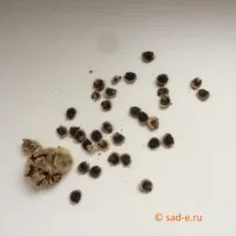 можна
