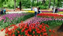 Майстер-класи та екскурсії для дітей від 6 років (метро Новослобідська), Афіша для дітей дітей