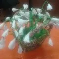 солом