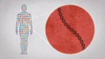 Медицина нової ери Персоналізований підхід, Журнал Популярна Механіка персоналізований