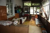 Махачкала собаче життя без котячих ніжностей махачкала