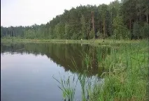 Місця, де можна відпочити з наметами Софрино, список кемпінгів та місць для відпочинку дикуном місця
