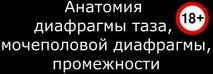 Методика розтину підковоподібного свища і абсцесу промежини Hanley методика