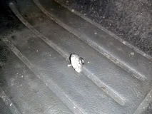 Морський бриз бриз