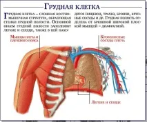 като