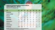 На Далекому Сході склалися унікальні умови для розвитку агропромислового комплексу розвитку