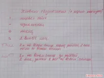 трансформер