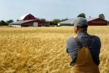 Спадкування селянського фермерського господарства - особливості, порядок успадкування спадкування