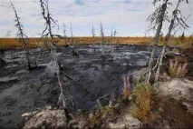 Нафтові сорбенти можуть вирішити всі проблеми з очищення середовища Завищені вимоги та реальна очищення
