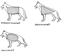 немска