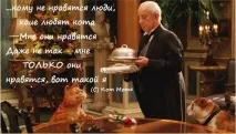 Новини з Блога Кота Моті моті