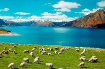 карті