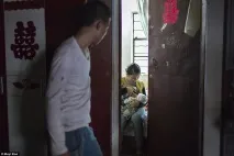 НОВИНИ У ФОТОГРАФІЯХ селі