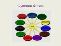 крові
