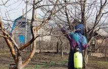 Обробка дерев восени дерев