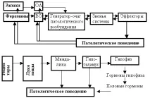 Ольфакторна фармакологія та порушення статевої поведінки людини ольфакторна