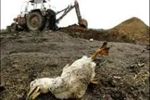 забруднювачі