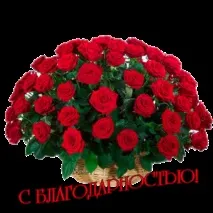 друзям