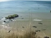 Відгуки туристів про Болгарію, читати останні відгуки про відпочинок у Болгарії. відгуки