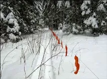 вовка