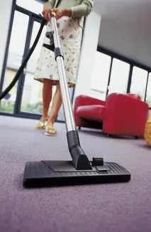 Пилосос Karcher DS 5500 опис та характеристики karcher