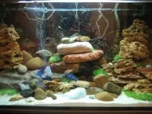 Підготовка каміння для акваріума, Aquarium каміння