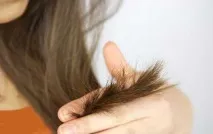 пива
