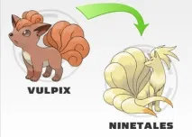 POKEMON Усі трансформації всіх поколінь трансформації