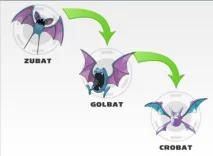 POKEMON Усі трансформації всіх поколінь pokemon