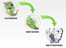 POKEMON Усі трансформації всіх поколінь трансформації