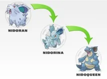 POKEMON Усі трансформації всіх поколінь pokemon