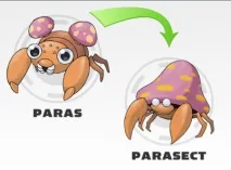 POKEMON Усі трансформації всіх поколінь всіх