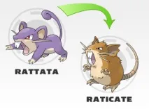 POKEMON Усі трансформації всіх поколінь всіх