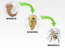 POKEMON Усі трансформації всіх поколінь трансформації