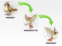 POKEMON Усі трансформації всіх поколінь pokemon