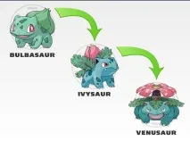POKEMON Усі трансформації всіх поколінь всіх