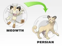 POKEMON Усі трансформації всіх поколінь всіх