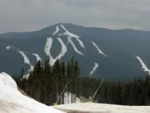 поляниця
