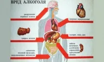 Після запою немає апетиту, що є і яка продуктова дієта. запою