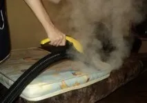 Постільні кліщі як позбутися в домашніх умовах кліщі