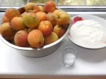 абрикосів